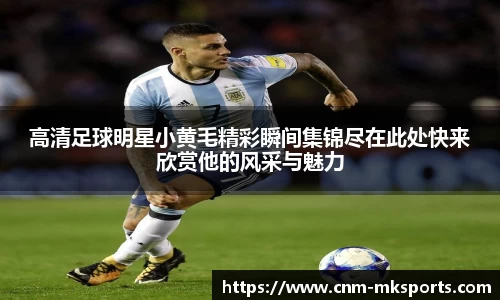 MK体育官方网站